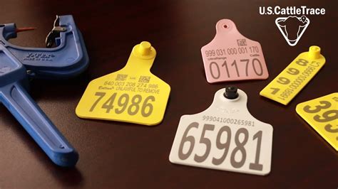 canadian rfid tags|canada cattle tags and applicators.